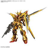 Mobile Suit Gundam SEED Destiny RG ORB-01 Akatsuki Gundam (Oowashi Unit) 1/144 Scale Model Kit