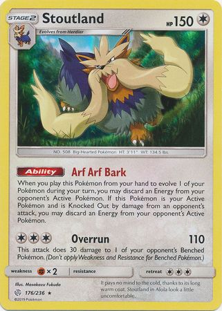 Stoutland 176/236 HOLO RARE