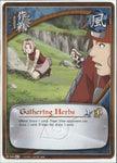 Gathering Herbs 968 RARE