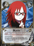 Karin 1189 COMMON