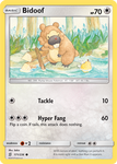 Bidoof 171/236 pokemon cards 