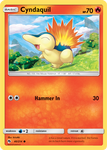 Cyndaquil 40/214 COMMON