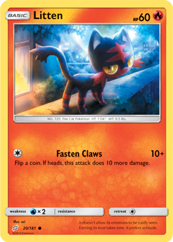 Litten 20/181 COMMON