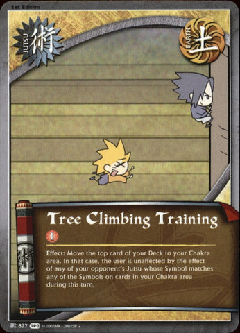 Tree Climbing Training 827 UNCOMMON