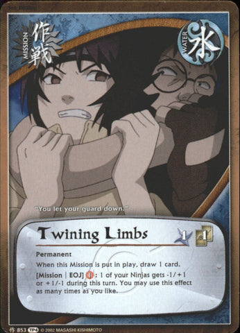 Twinning Limbs 853 COMMON