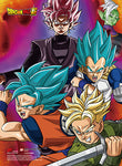 Dragon Ball super wall scroll
