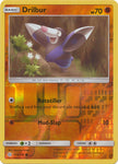 Drilbur 114/236 REVERSE HOLO COMMON