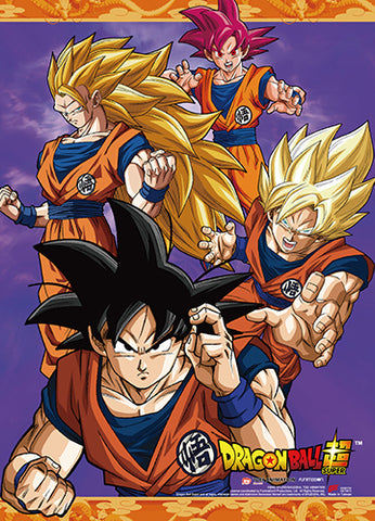 Dragon Ball Z Merch