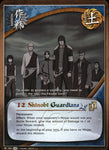 12 Shinobi Guardians 868 RARE